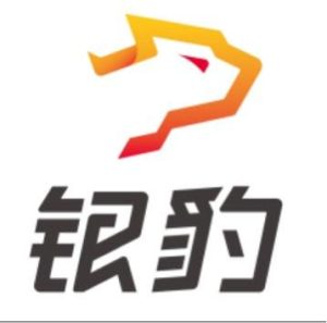 银豹收银商品无法加载？缓存损坏与网络环境检查指南？